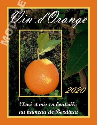 étiquette personnalisée pour bouteille de vin d’orange evo 03