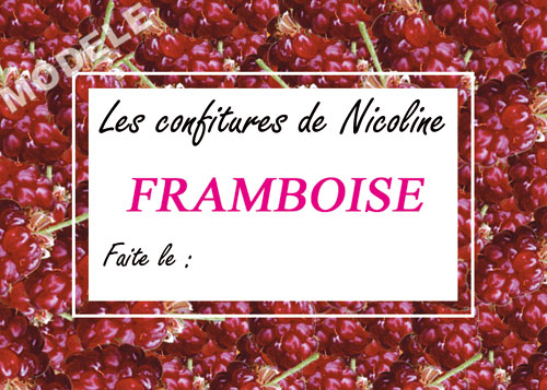 Étiquettes vichy pour confiture de framboises